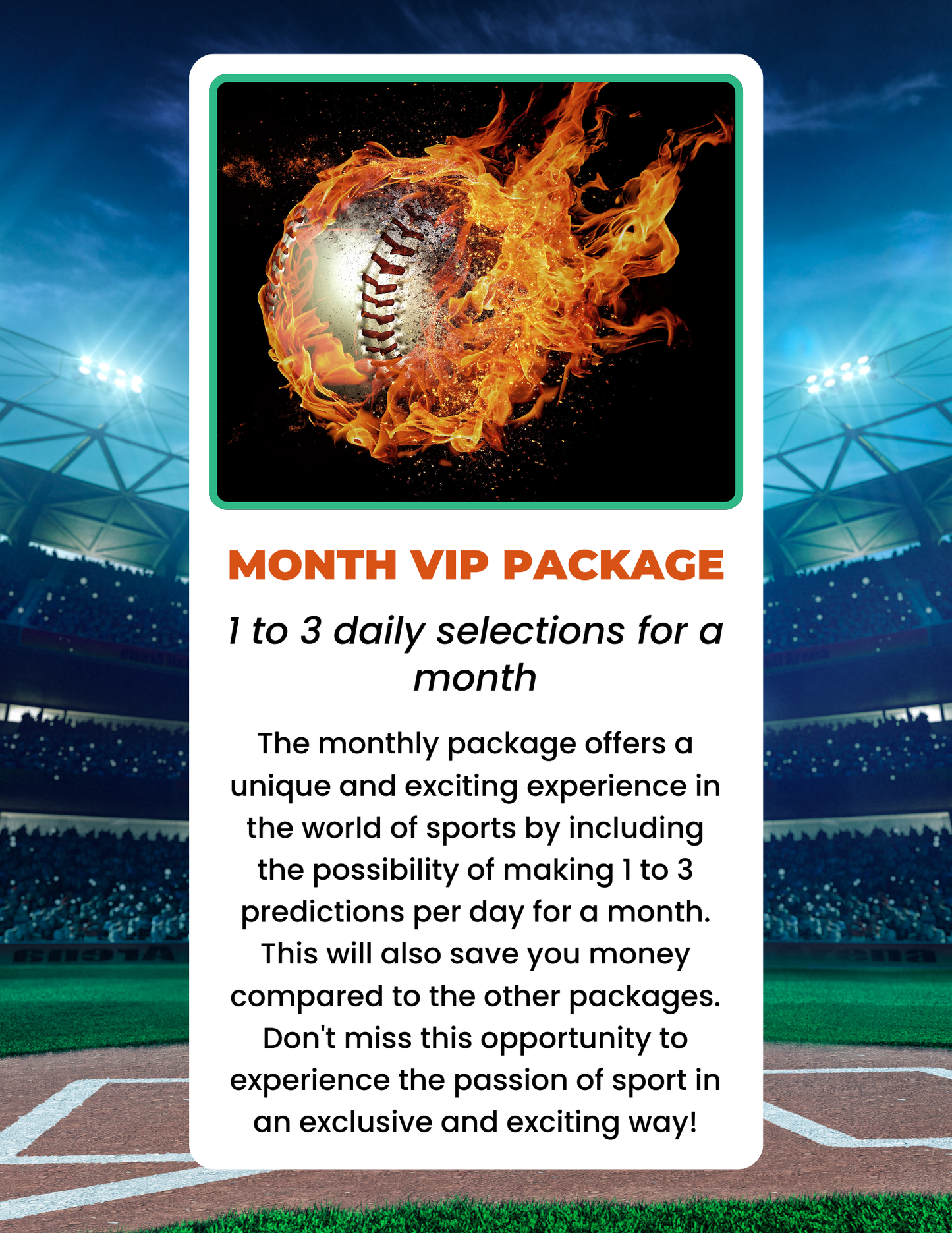 Month Vip Package